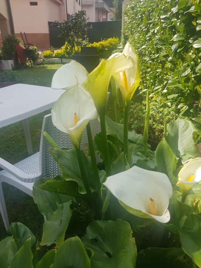 B&B La Damigiana Fioi Piano di Follo Εξωτερικό φωτογραφία