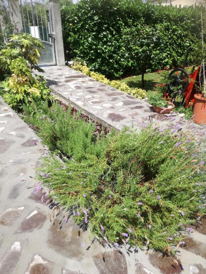 B&B La Damigiana Fioi Piano di Follo Εξωτερικό φωτογραφία