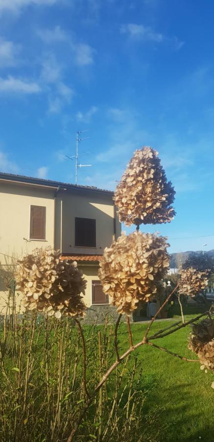 B&B La Damigiana Fioi Piano di Follo Εξωτερικό φωτογραφία