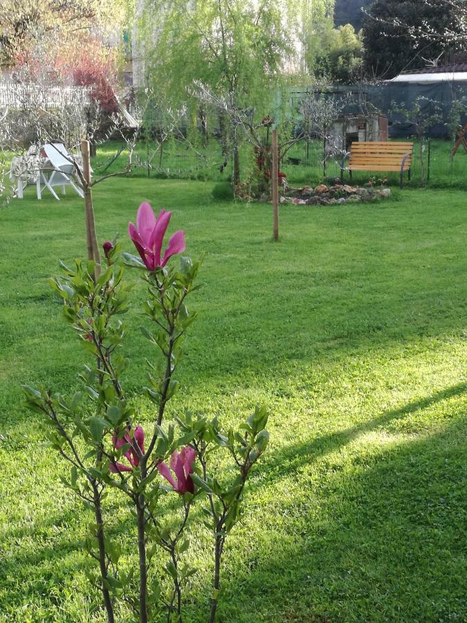 B&B La Damigiana Fioi Piano di Follo Εξωτερικό φωτογραφία
