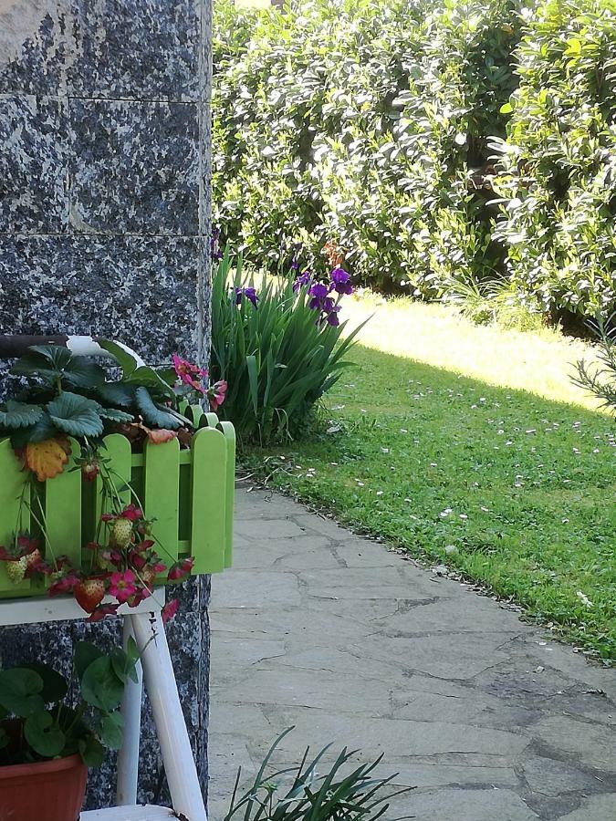 B&B La Damigiana Fioi Piano di Follo Εξωτερικό φωτογραφία
