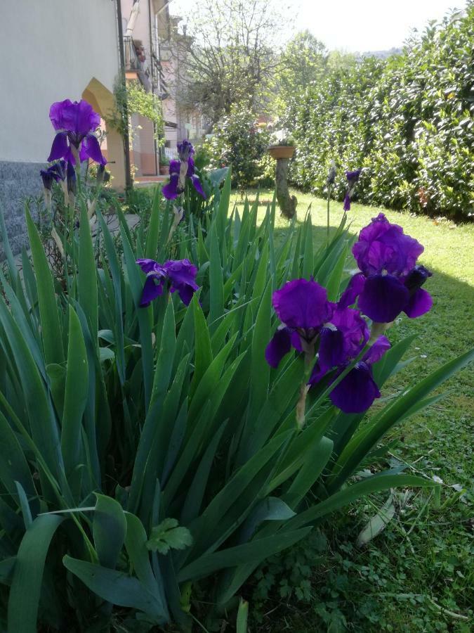 B&B La Damigiana Fioi Piano di Follo Εξωτερικό φωτογραφία