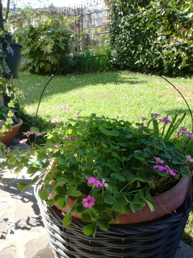 B&B La Damigiana Fioi Piano di Follo Εξωτερικό φωτογραφία