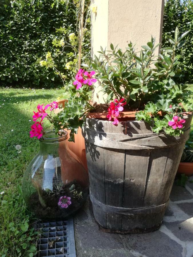 B&B La Damigiana Fioi Piano di Follo Εξωτερικό φωτογραφία