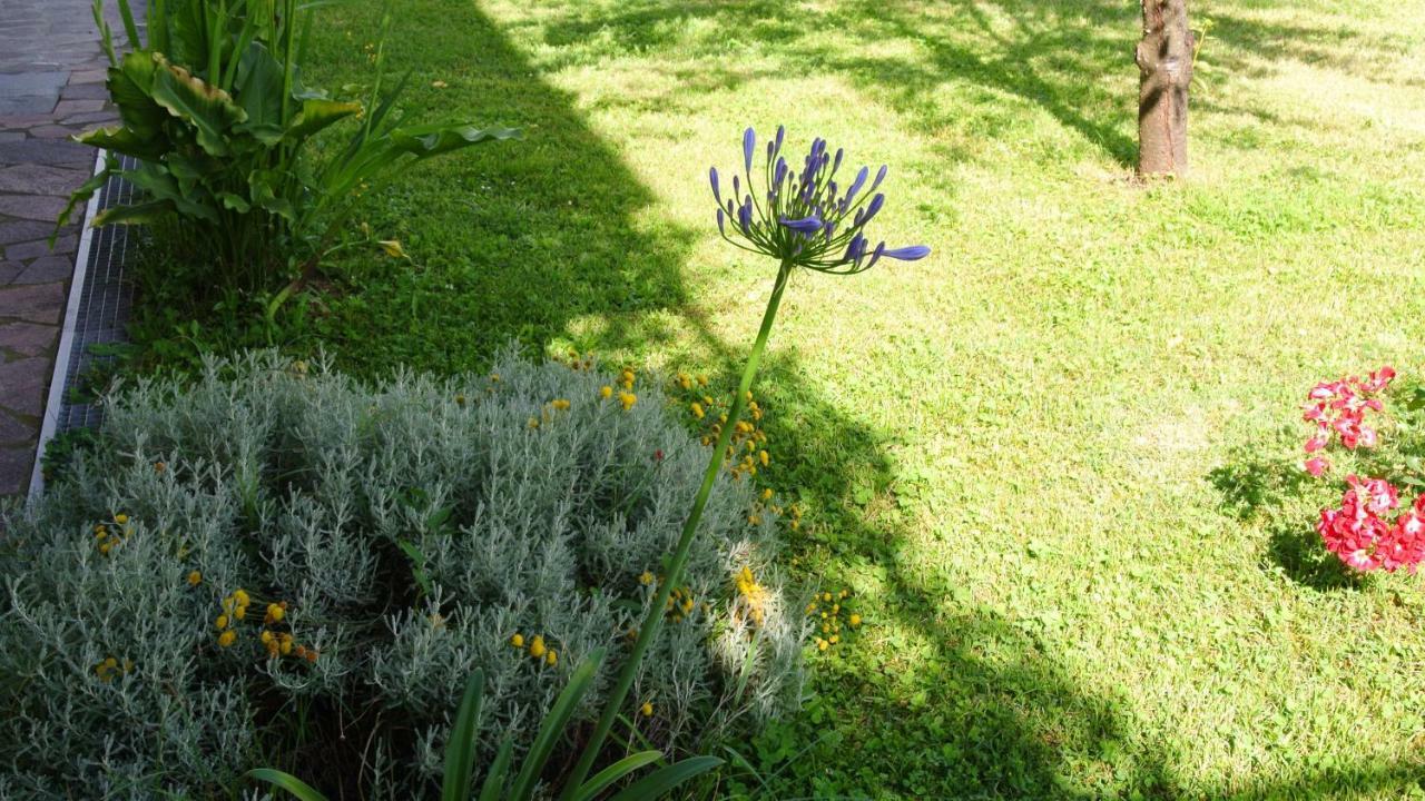 B&B La Damigiana Fioi Piano di Follo Εξωτερικό φωτογραφία