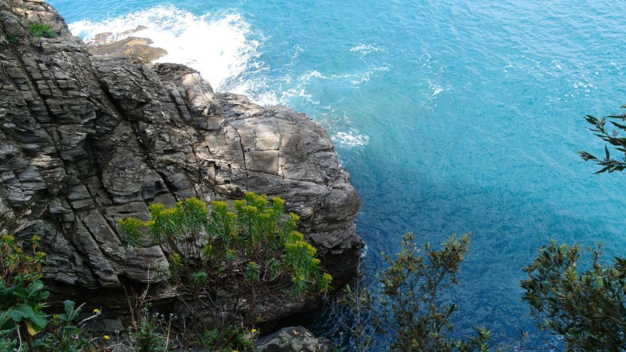 B&B La Damigiana Fioi Piano di Follo Εξωτερικό φωτογραφία